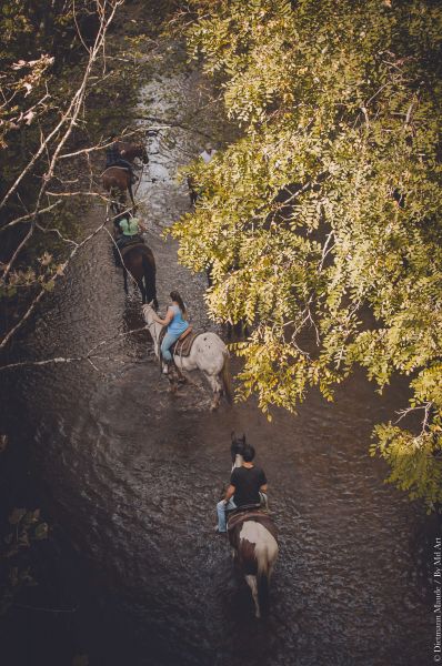 Randonnées à cheval